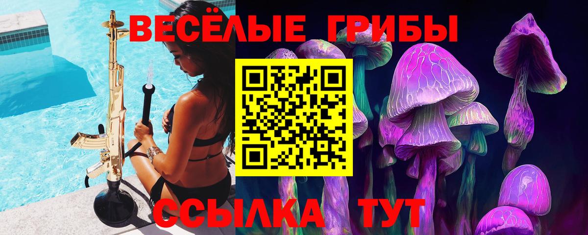 Псилоцибиновые грибы мухоморы  Вход с VPN  Псилоцибиновые грибы MAGIC MUSHROOMS  где купить   Прохладный 